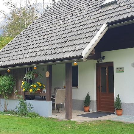 Apartment Sonce Bohinj Bagian luar foto