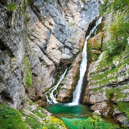 Apartment Sonce Bohinj Bagian luar foto