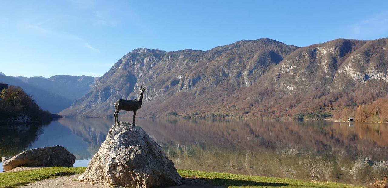 Apartment Sonce Bohinj Bagian luar foto