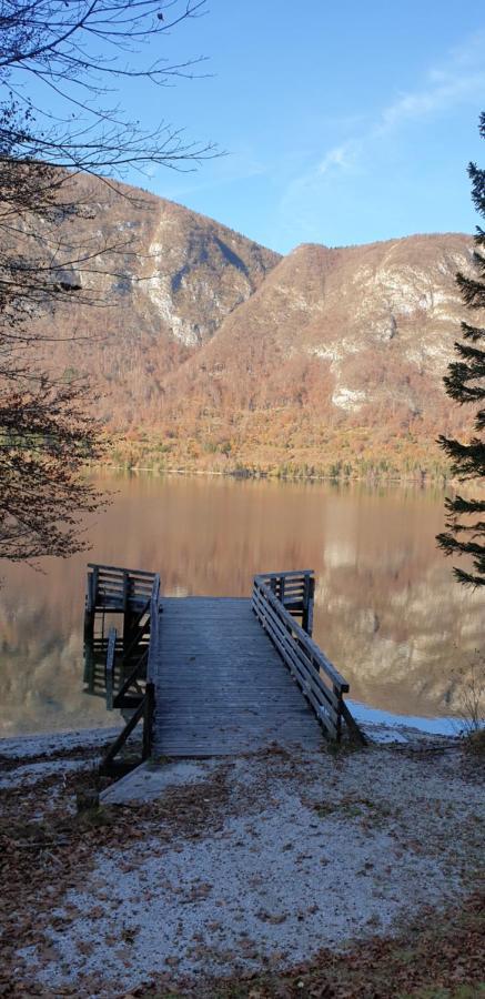 Apartment Sonce Bohinj Bagian luar foto