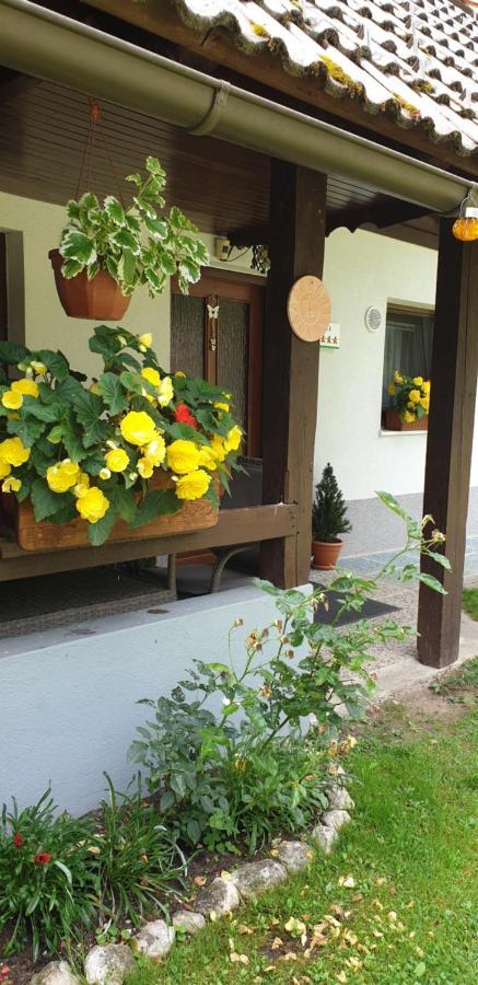 Apartment Sonce Bohinj Bagian luar foto