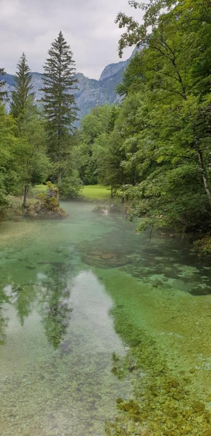 Apartment Sonce Bohinj Bagian luar foto