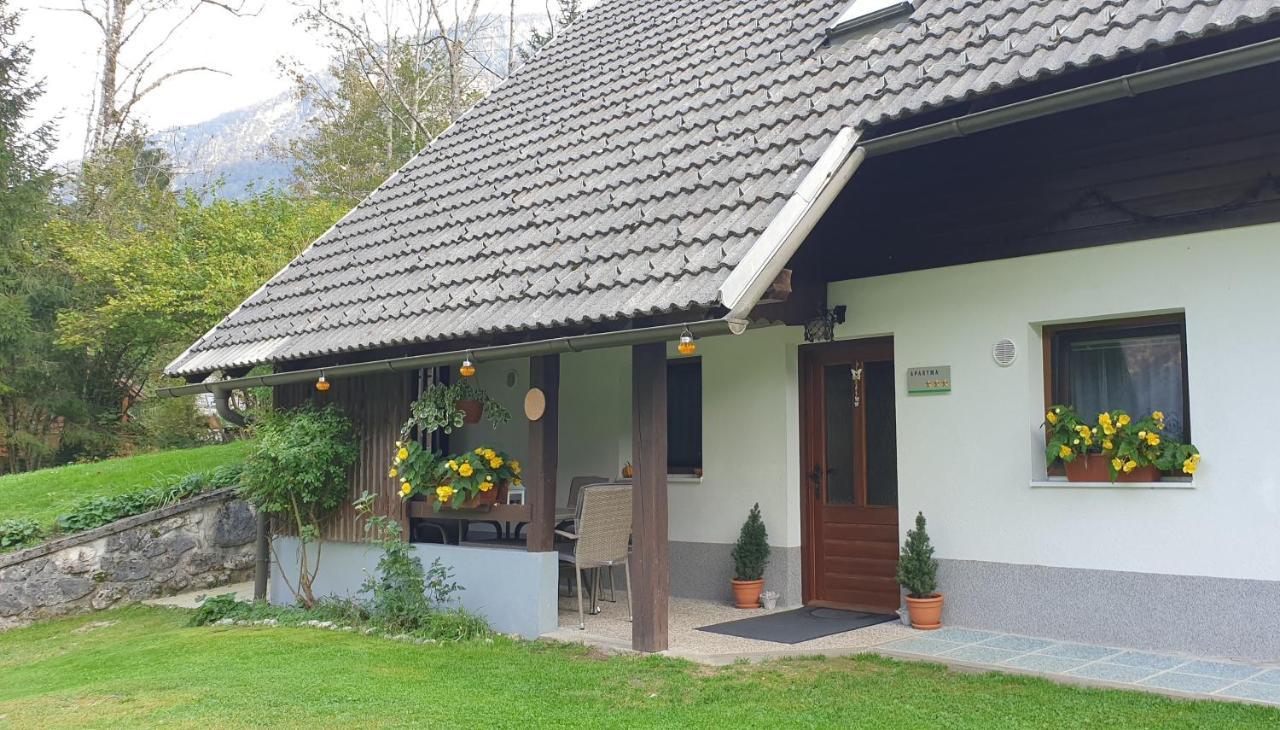 Apartment Sonce Bohinj Bagian luar foto