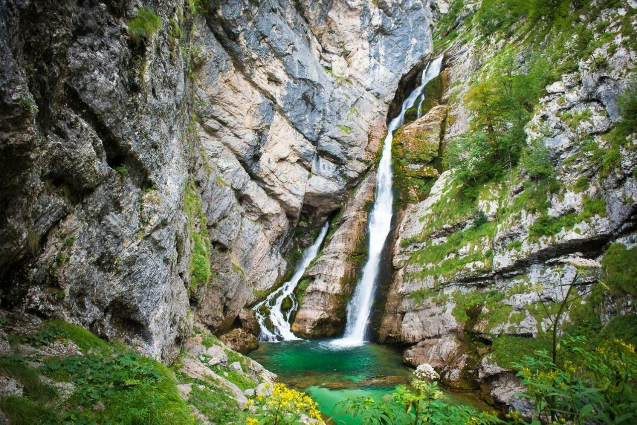 Apartment Sonce Bohinj Bagian luar foto